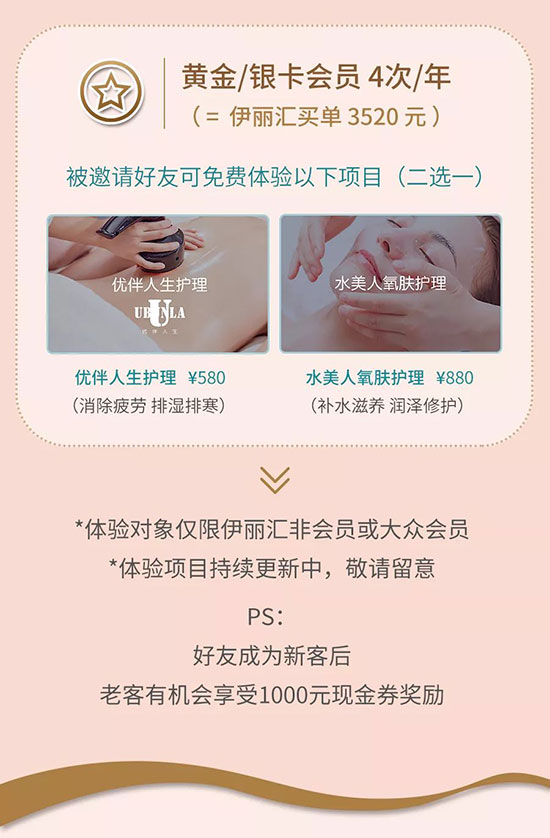 伊丽汇