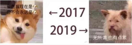 中山美容伊丽汇